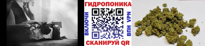 Наркота Сосновка Cocaine  Мефедрон  Гашиш  Конопля 