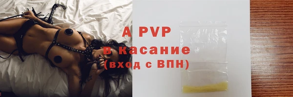 винт Алексин