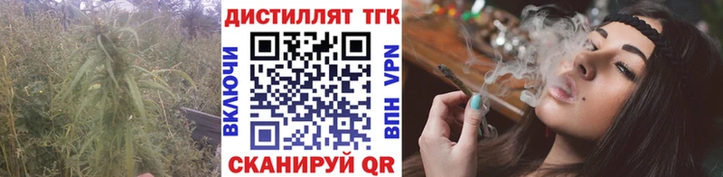 МЕГА как зайти  Сосновка  ТГК THC oil 